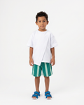 Go Green Shorts